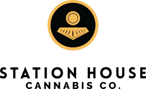 Amnesia Haze 1 x 0.5g Pre-Roll