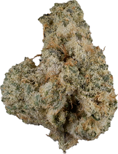 Greencraft Cannabis - Greencraft Cannabis - Greencraft Kush | 3.5g