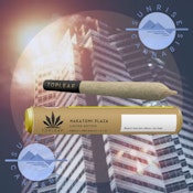 NAKATOMI PLAZA - TOP LEAF - 1 X 1G