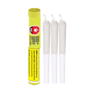 Winter Frost 3 x 0.5g Pre-Rolls