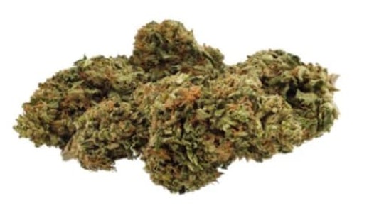 Grown Here Farms - DAY DREAMIN' INFUSED CBD FLOWER - 7g