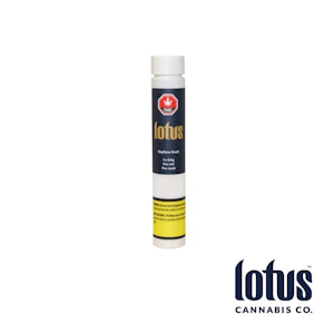 lotus - KEYLIME KUSH PRE ROLLS 3X0.5G