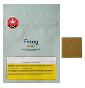 Foray Salted Caramel 1x10g Chocolate