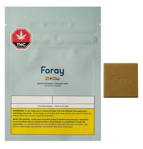 Auxly Inc - Foray Salted Caramel 1x10g Chocolate