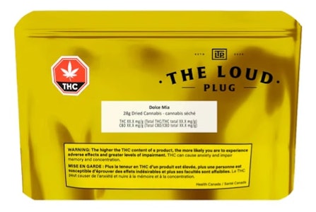THE LOUD PLUG - DOLCE MIA - 28