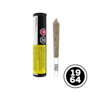 1964 - COMATOSE 1G SINGLE PRE ROLL