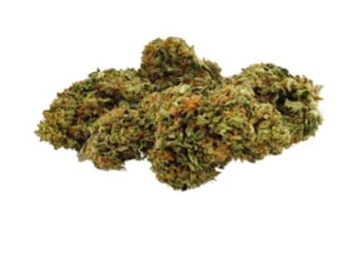 Grown Here Farms - DAY DREAMIN' INFUSED CBD FLOWER - 7