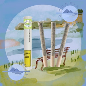 Weathered Islands Craft Cannabis - COASTAL FOG - WEATHERED ISLANDS - 3 X 0.5G