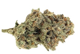 D lbs - The G-Pooch - 3.5g