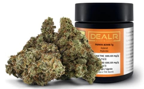 DEALR - Papaya Bomb LTO - 7g