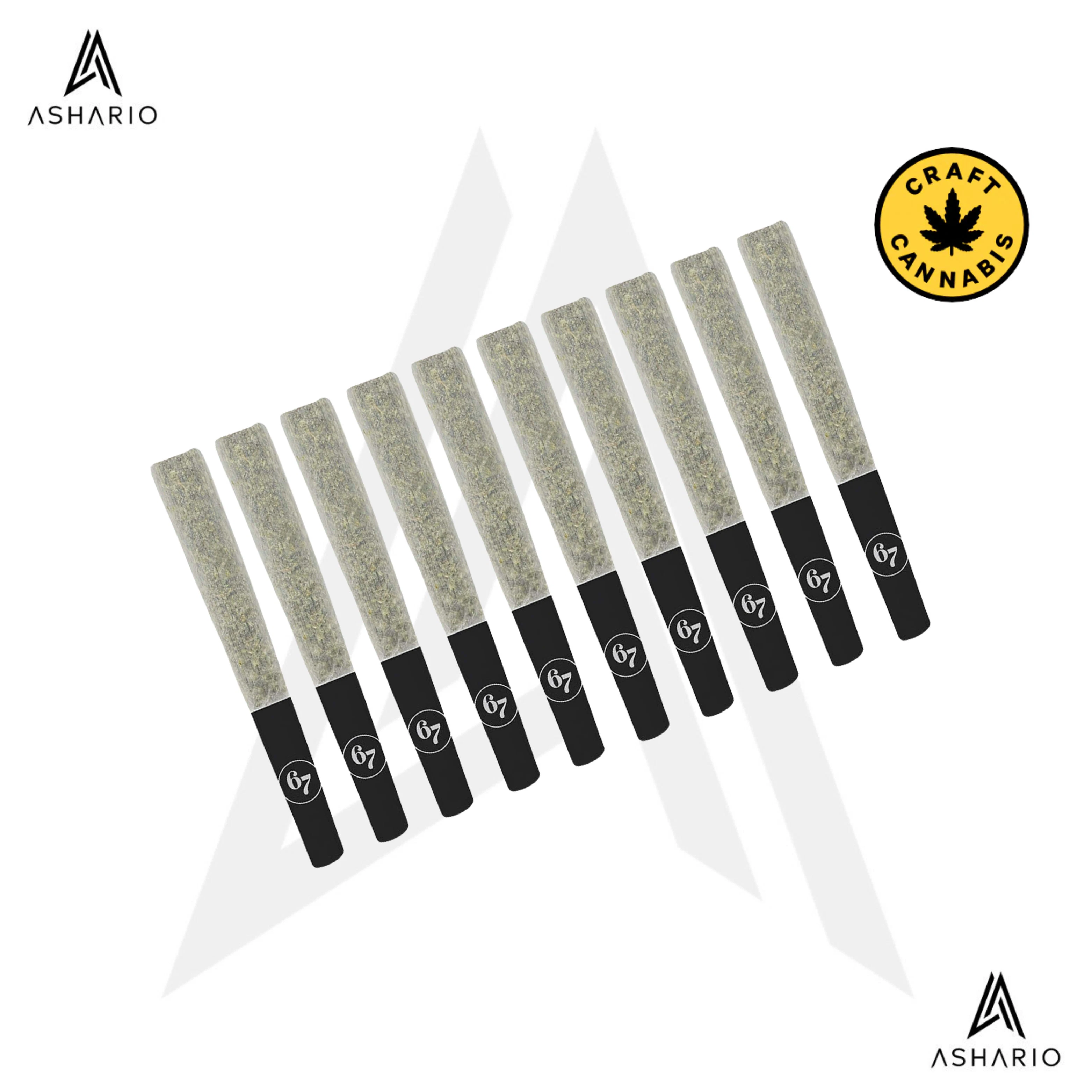 SIXTY SEVEN SINS - Canadian Chill Pre-roll | 10x0.5g Main Image