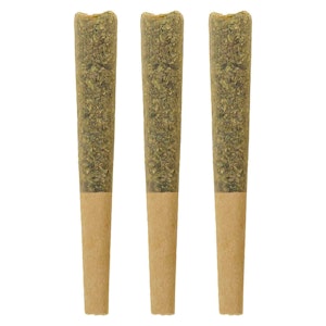 Carnival - Indica Parade