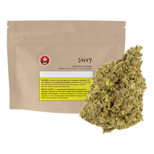 Divvy - Pineapple Nuken