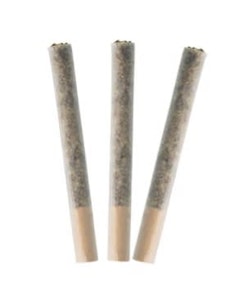 Weathered Islands Craft Cannabis - Coastal Fog - 3x0.5g