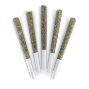 DEALR - El Changuito Pre-Rolls - 0.5g x 5