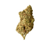 The Loud Plug - Dolce Mia (28g)