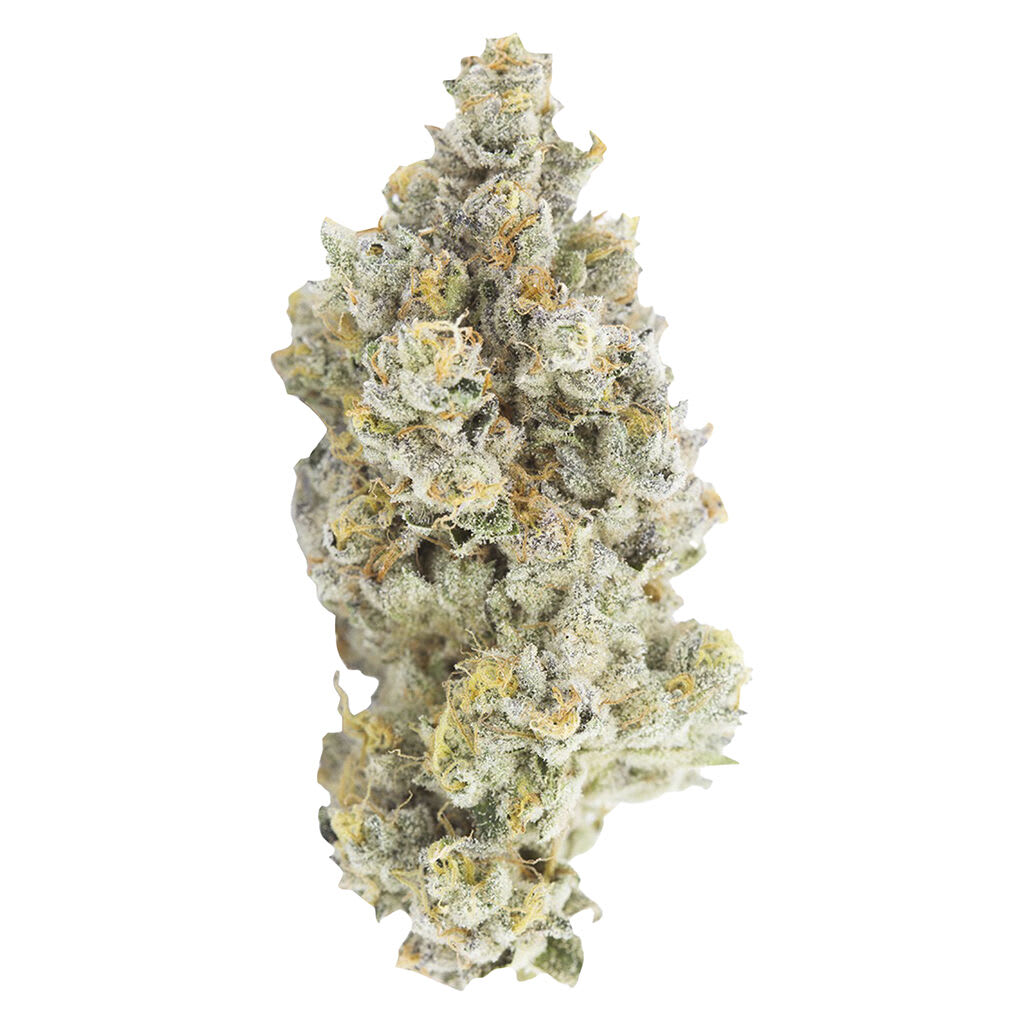 Snicklefritz Sativa 28g Dried Flower
