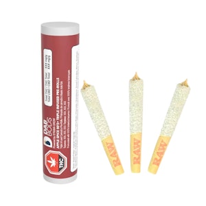 Dab Bods - Apple Spice 50's+