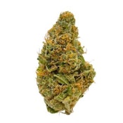 Blue Cherry Gelato (7g) - Zippy