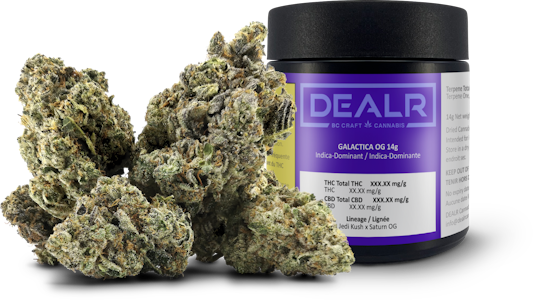 DEALR - GALACTICA OG - 14