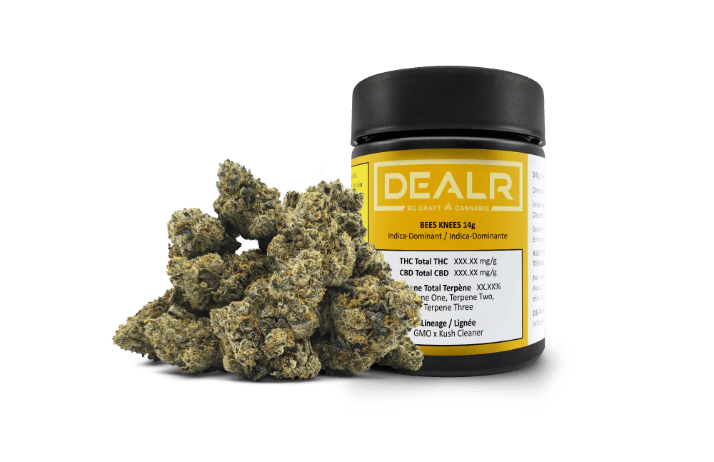 DEALR - DEALR - BEES KNEES - 14G FLOWER Main Image