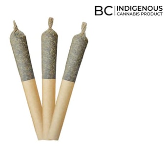 All Nations - All Nations Blueberry Fritter Infused 3x0.5g