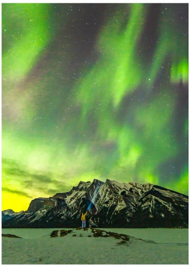 FivePoint  - Slim Doobie Case - Michal Maciaszek "Enchanting Northern Lights" Main Image