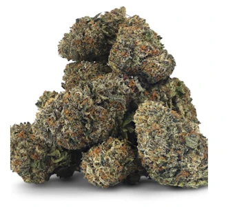 Royal Harvest Craft Cannabis - Korzie Kush 7g