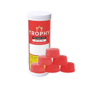 TROPHY - TROPHY - MERRY BERRY CITRUS CHEWS - 20 PACK