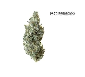 All Nations - Tropic Thunder - 3.5g