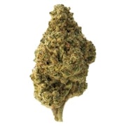 Tropicana Cookies 28g Dried Flower