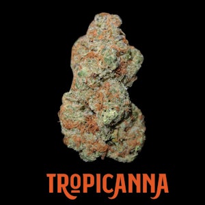 Jonny Chronic - Tropicanna 3.5g Flower (TROPICANNA X TROPICANNA)