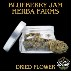 Herba Farms - Blueberry Jam - 7g
