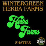 Wintergreen Shatter - 1g