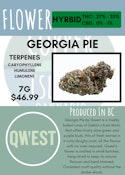 7G - QWEST - GEORGIA PIE