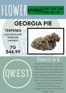 QWEST - 7G - QWEST - GEORGIA PIE