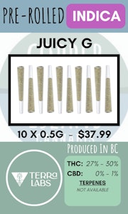 Terra Labs - TERRA LABS - 10PK JUICY G PRS