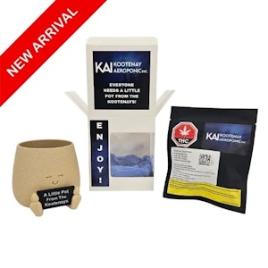Kootenay Aeroponic Inc. - Daydream 3.5g in a Little Pot