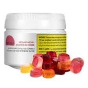 Monjour - Orchard Medley Sugar Free CBD Gummies - 30 Pack