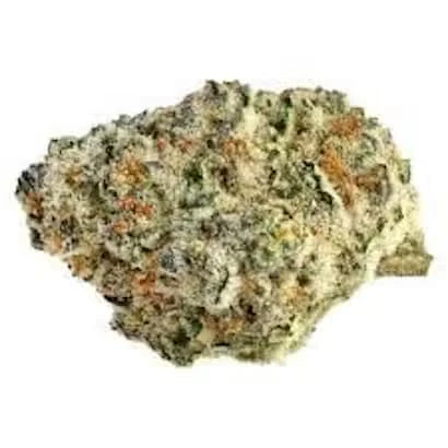 Partake - Rainbow Zkittlez Main Image