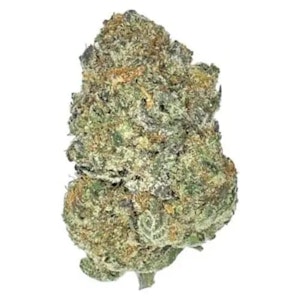 Partake - Orange Squeeze