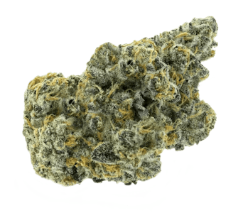 Partake - Apricot Frost