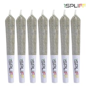 1SPLIFF - Orange RNTZ PR 7x0.5g