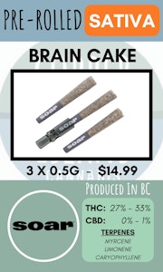 Soar - SOAR - 3PK BRAIN CAKE PRS