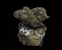 Forbidden LA Cake - 7g