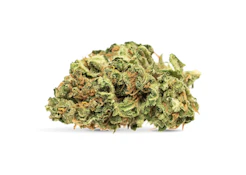 Jean Guy - 28g