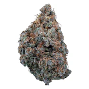 Organic Divine Intervention Premiums - 14g