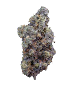 Mint Chocolate Chip - 14g