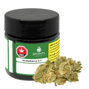 Strawberry 2.1 - 3.5g