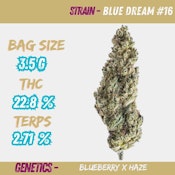 Blue Dream #16 3.5g Dried Flower